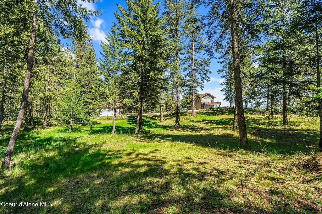99 Moosewood Lane Sagle ID 83860