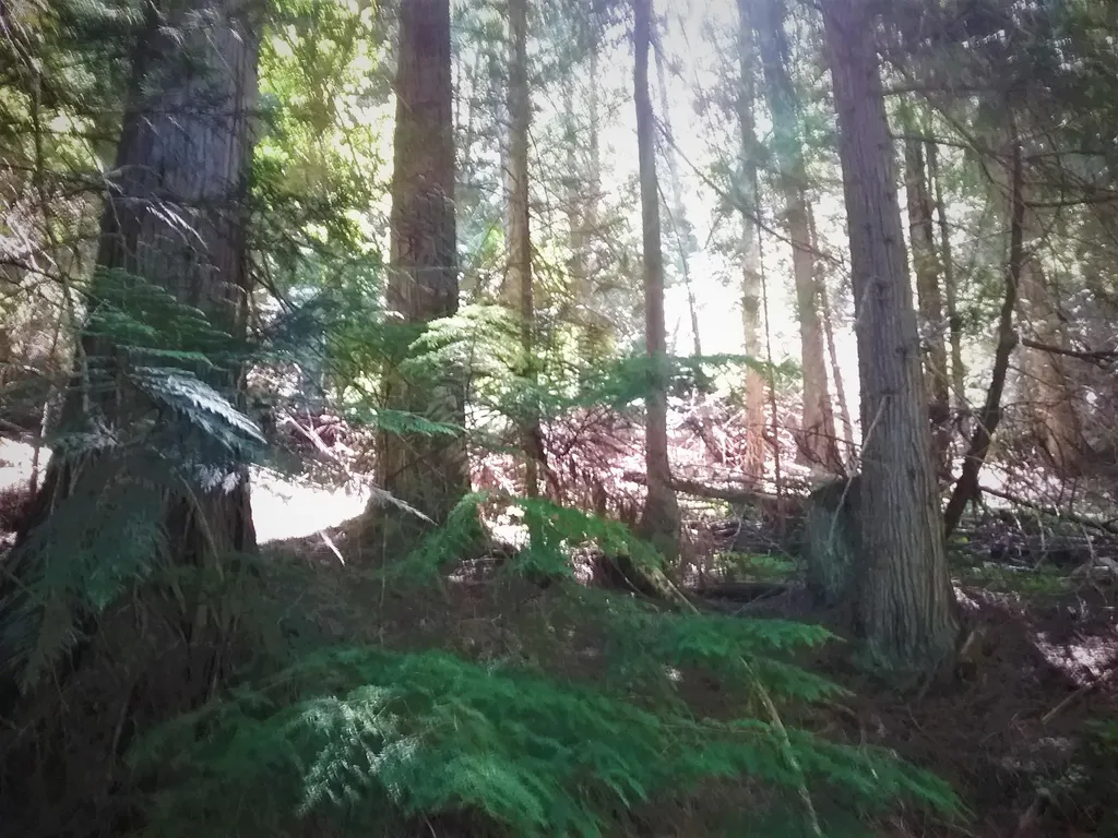 NKA(13 Ac) Upper Twin Lakes S. Shore Rathdrum ID 83858