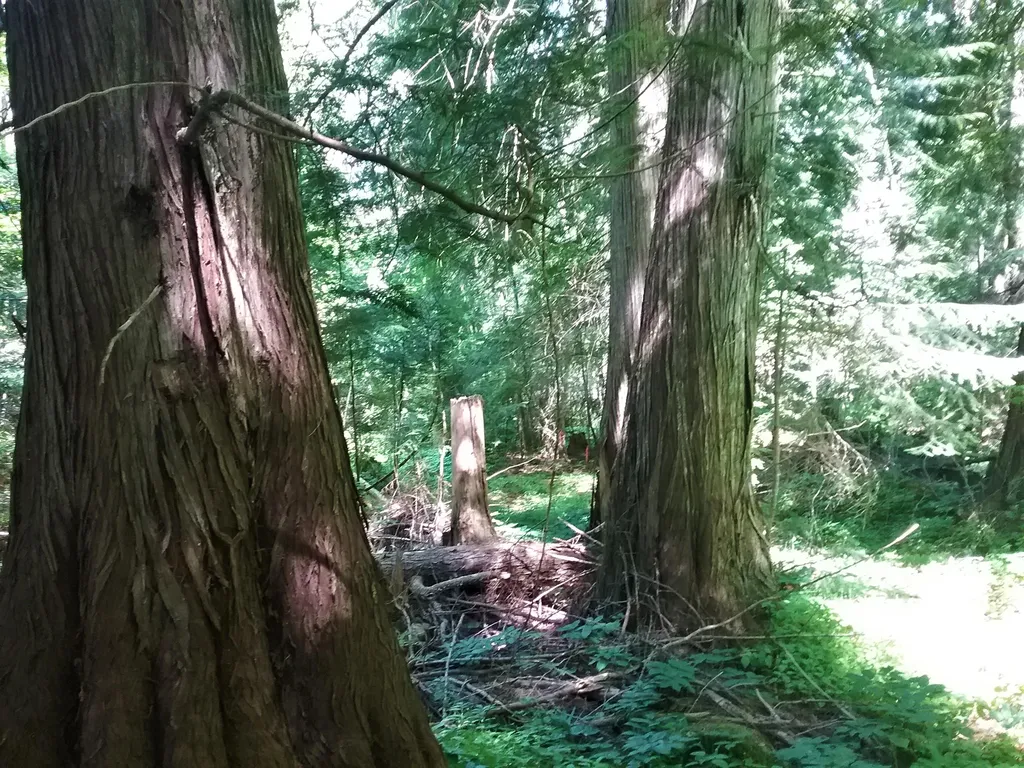 NKA(13 Ac) Upper Twin Lakes S. Shore Rathdrum ID 83858