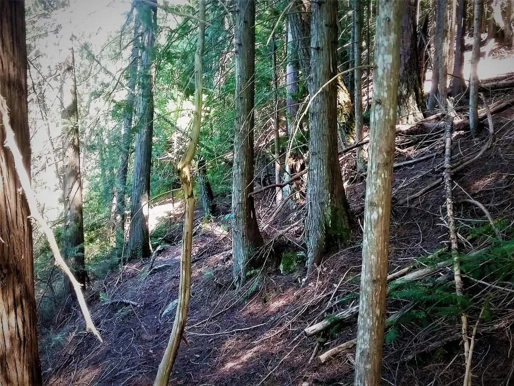 NKA(13 Ac) Upper Twin Lakes S. Shore Rathdrum ID 83858