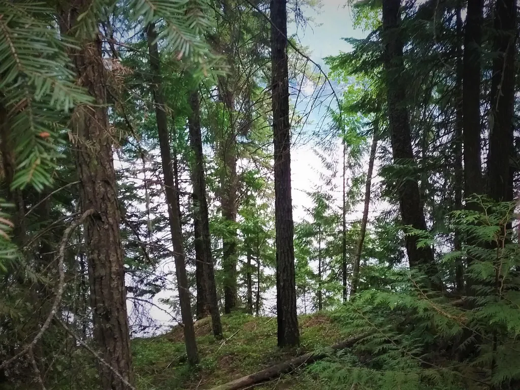 NKA(13 Ac) Upper Twin Lakes S. Shore Rathdrum ID 83858