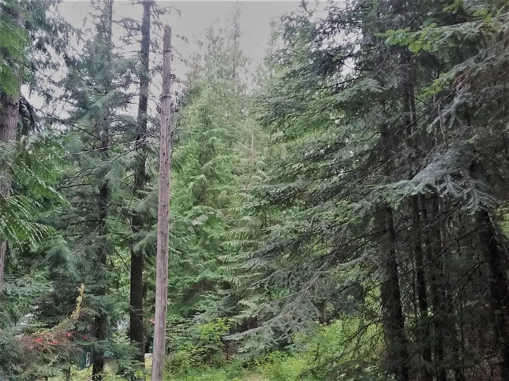 NKA(13 Ac) Upper Twin Lakes S. Shore Rathdrum ID 83858
