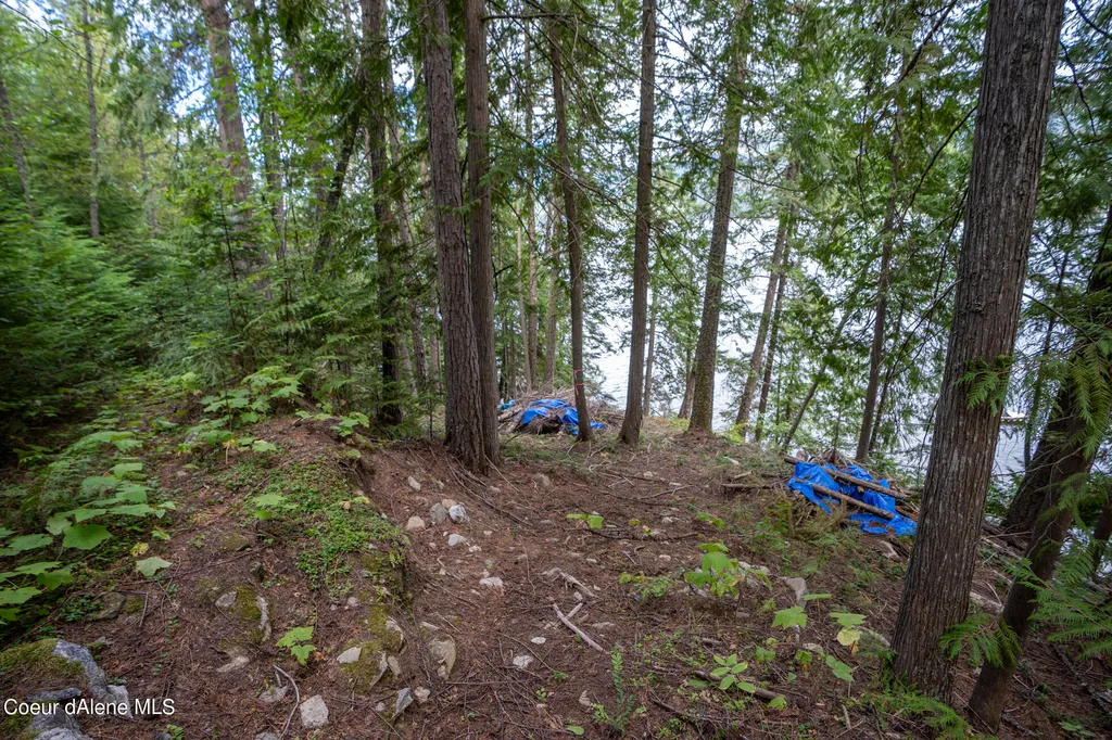 NKA(13 Ac) Upper Twin Lakes S. Shore Rathdrum ID 83858