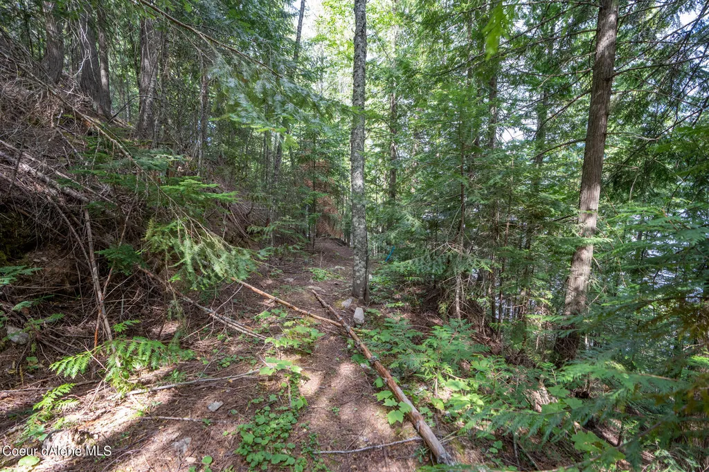 NKA(13 Ac) Upper Twin Lakes S. Shore Rathdrum ID 83858
