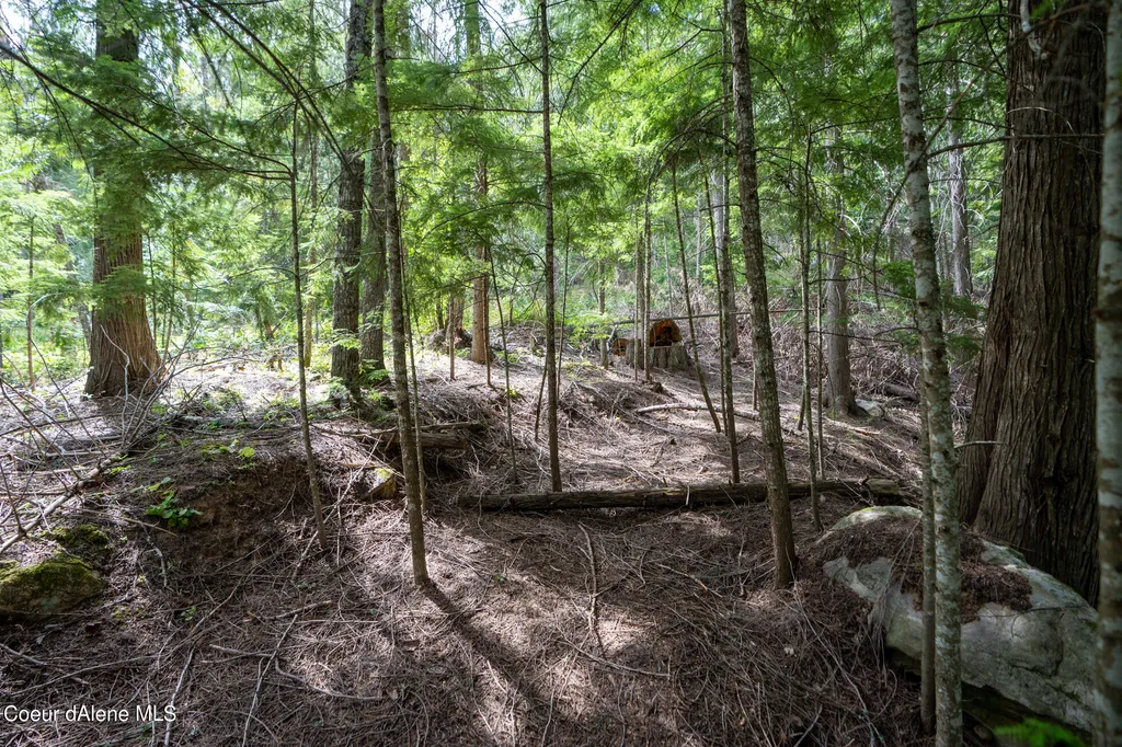 NKA(13 Ac) Upper Twin Lakes S. Shore Rathdrum ID 83858