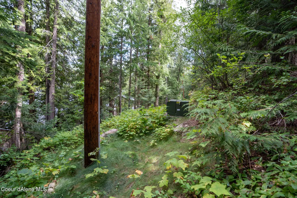 NKA(13 Ac) Upper Twin Lakes S. Shore Rathdrum ID 83858