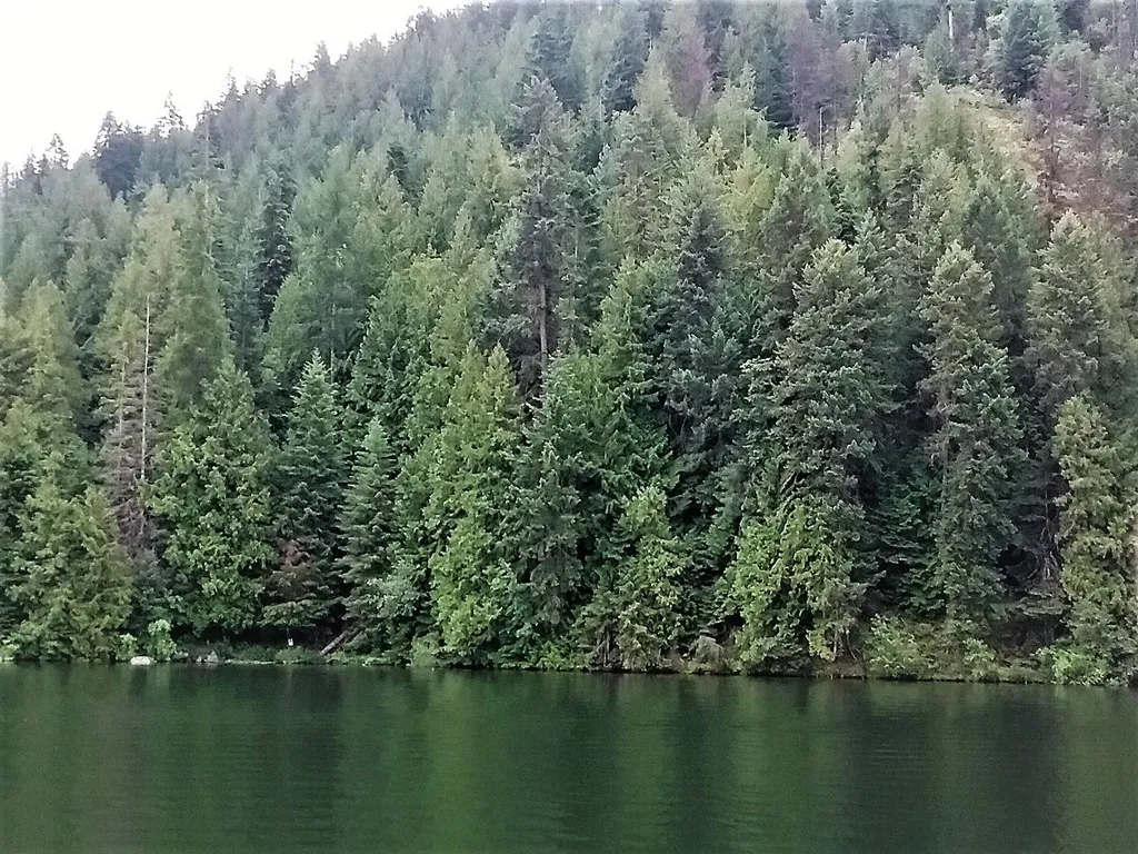 NKA(13 Ac) Upper Twin Lakes S. Shore Rathdrum ID 83858