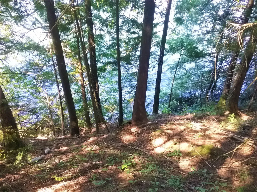 NKA(13 Ac) Upper Twin Lakes S. Shore Rathdrum ID 83858