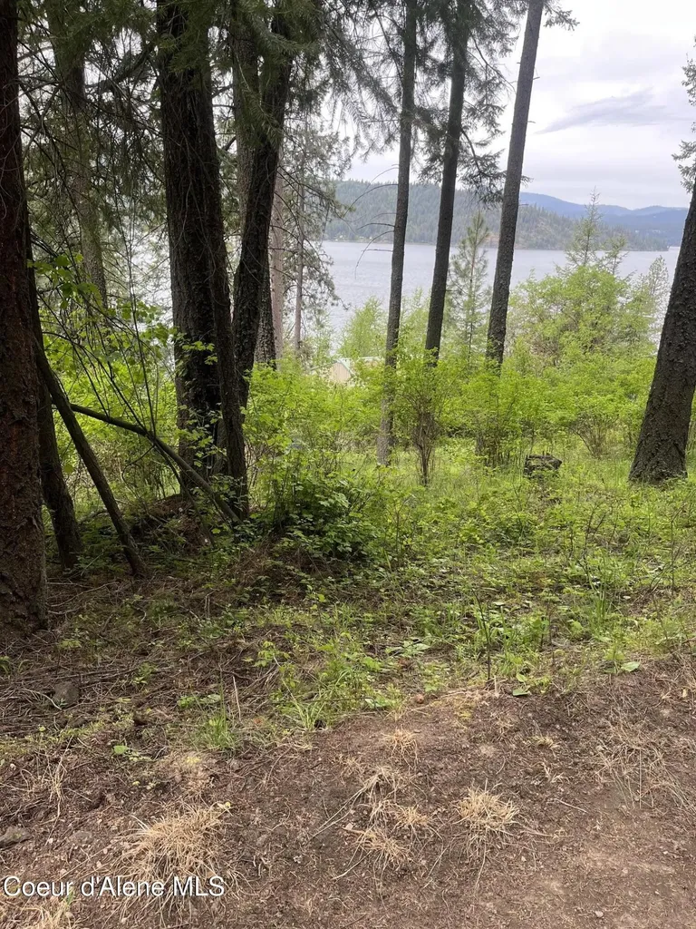 233 E Driftwood Heights Drive Harrison ID 83833