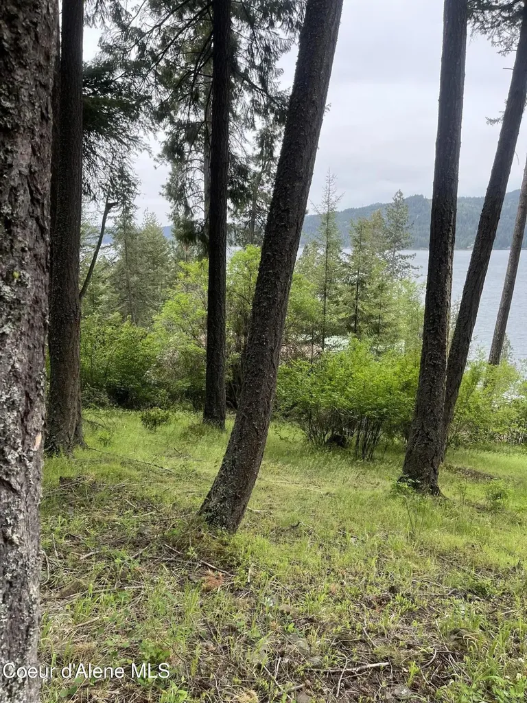 233 E Driftwood Heights Drive Harrison ID 83833