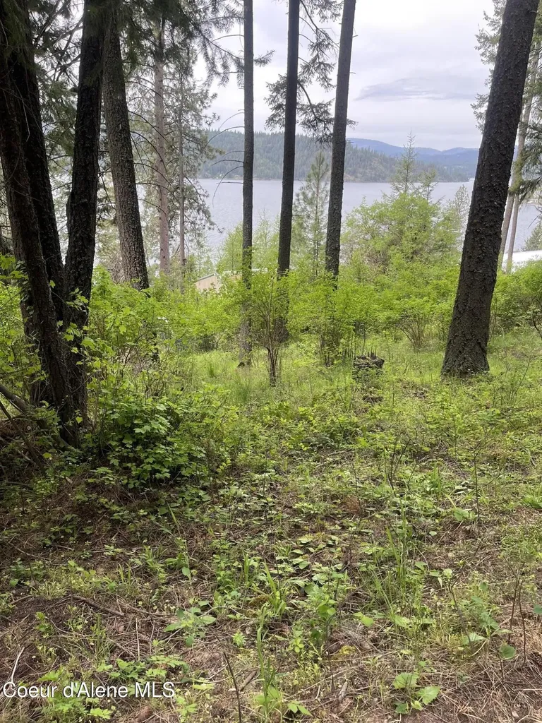 233 E Driftwood Heights Drive Harrison ID 83833