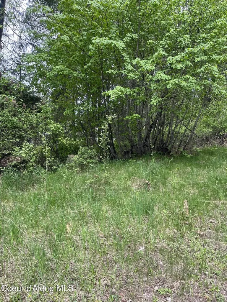 233 E Driftwood Heights Drive Harrison ID 83833