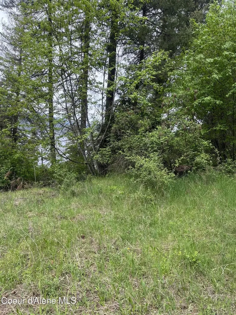 233 E Driftwood Heights Drive Harrison ID 83833
