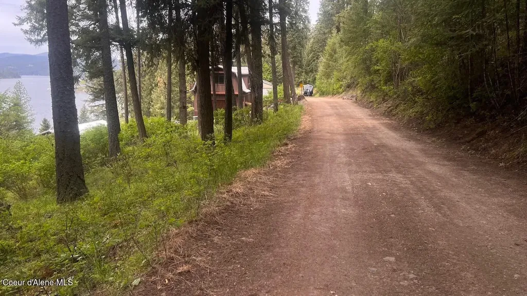 233 E Driftwood Heights Drive Harrison ID 83833