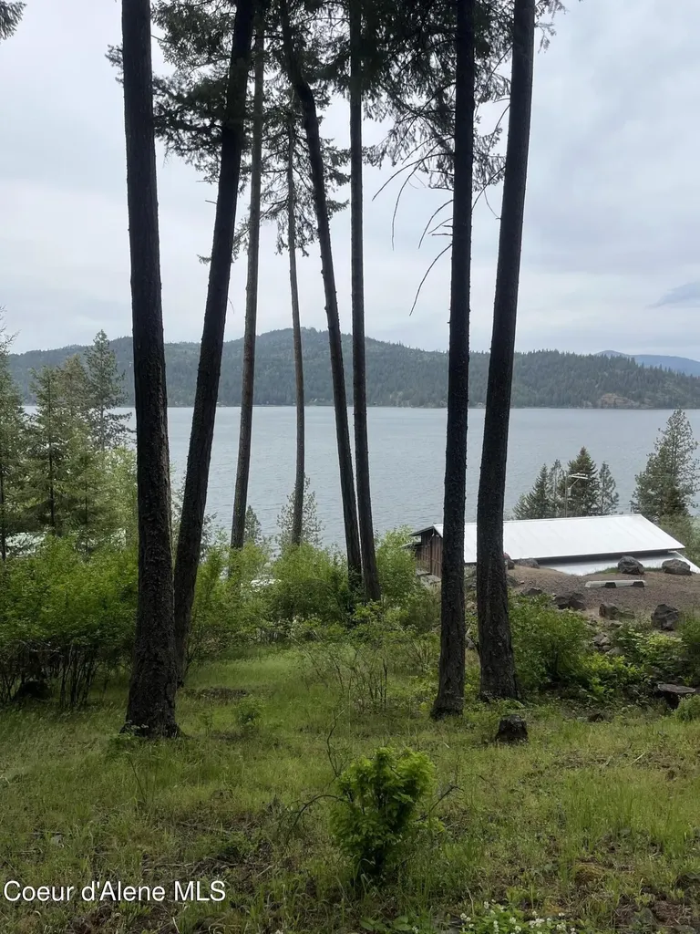 233 E Driftwood Heights Drive Harrison ID 83833