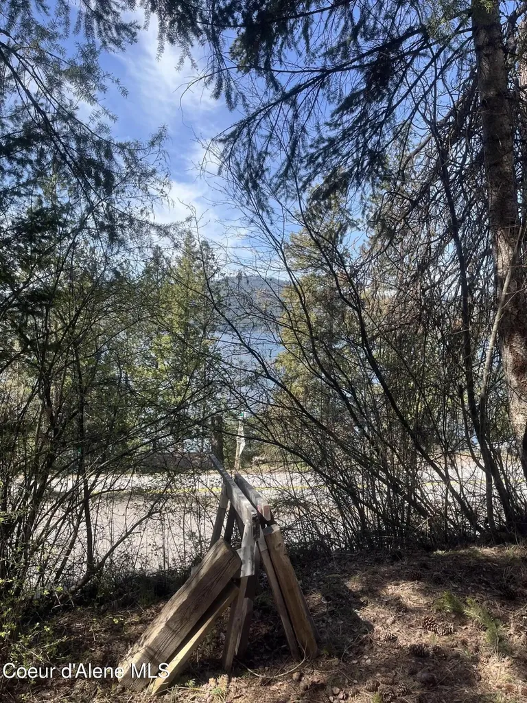 233 E Driftwood Heights Drive Harrison ID 83833