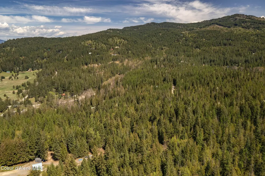 202 Fry Creek Road Sagle ID 83860