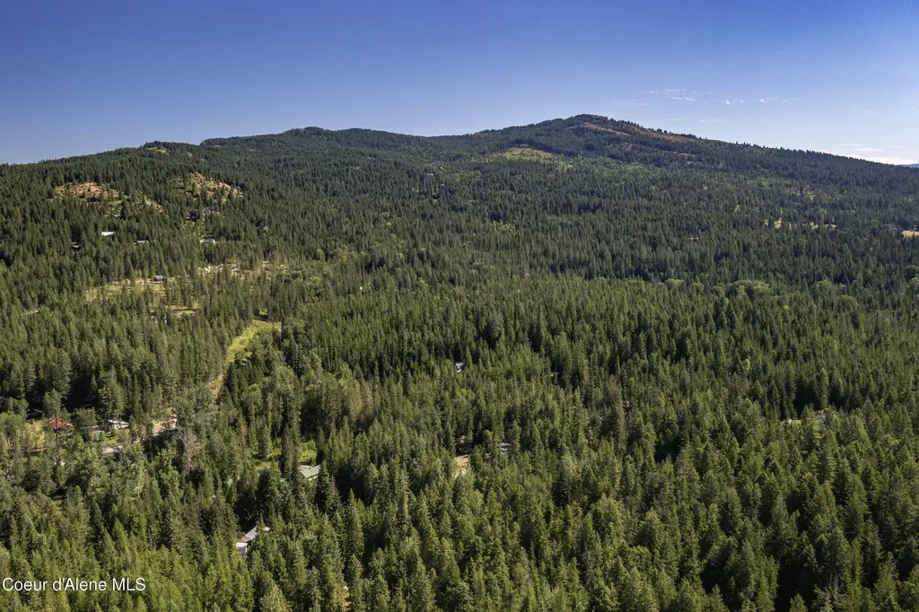 202 Fry Creek Road Sagle ID 83860