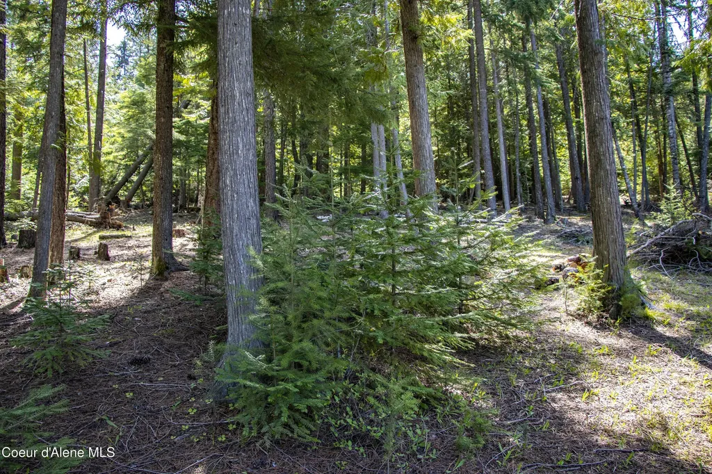 202 Fry Creek Road Sagle ID 83860