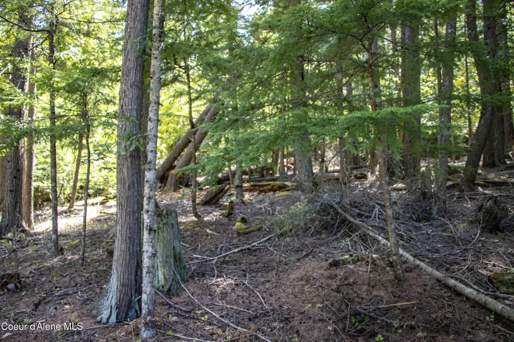 202 Fry Creek Road Sagle ID 83860