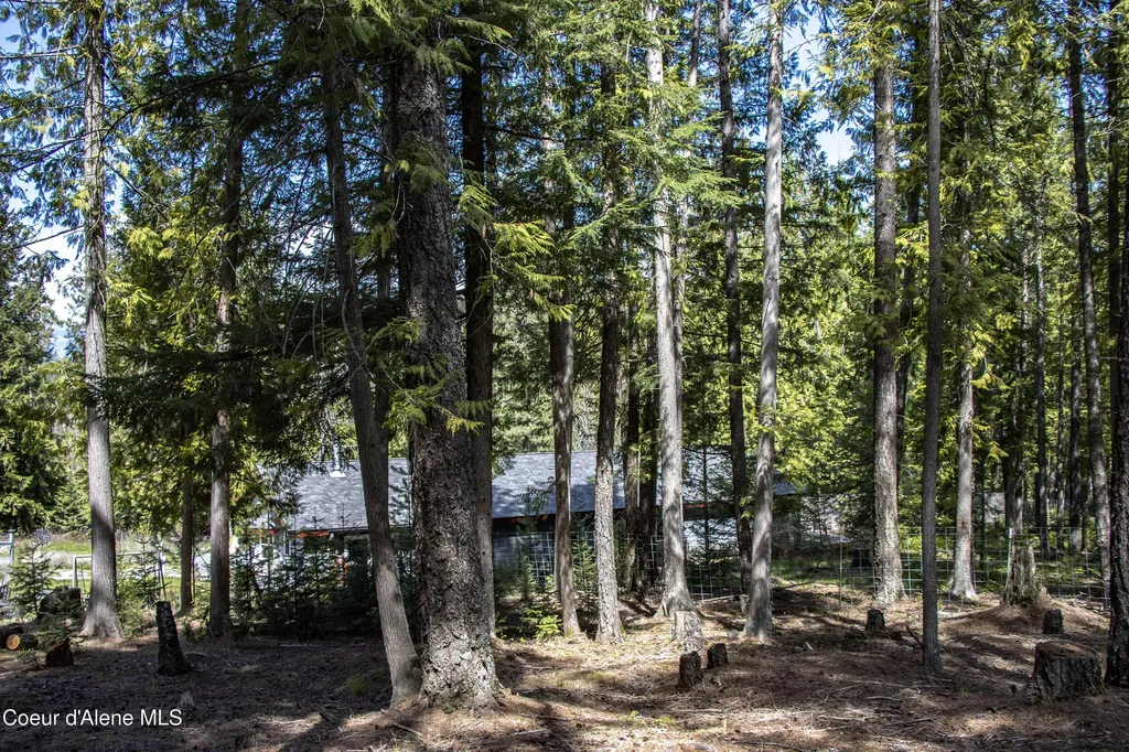 202 Fry Creek Road Sagle ID 83860