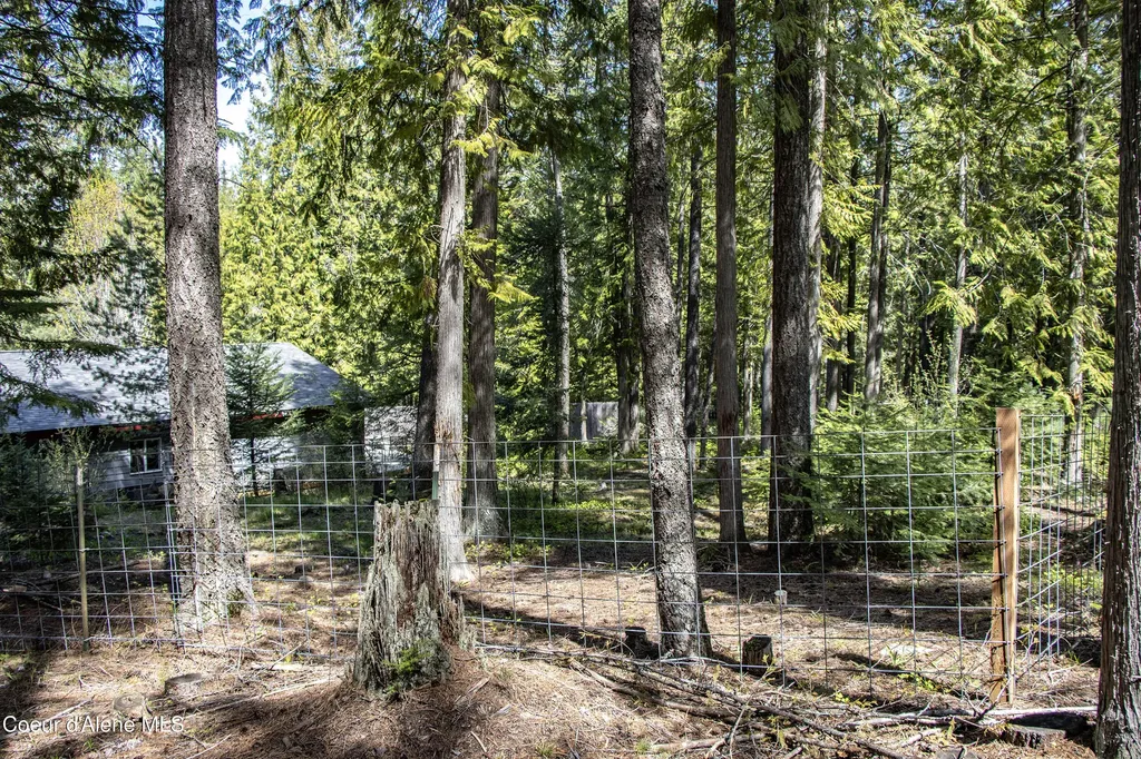 202 W Fry Creek Road Sagle ID 83860