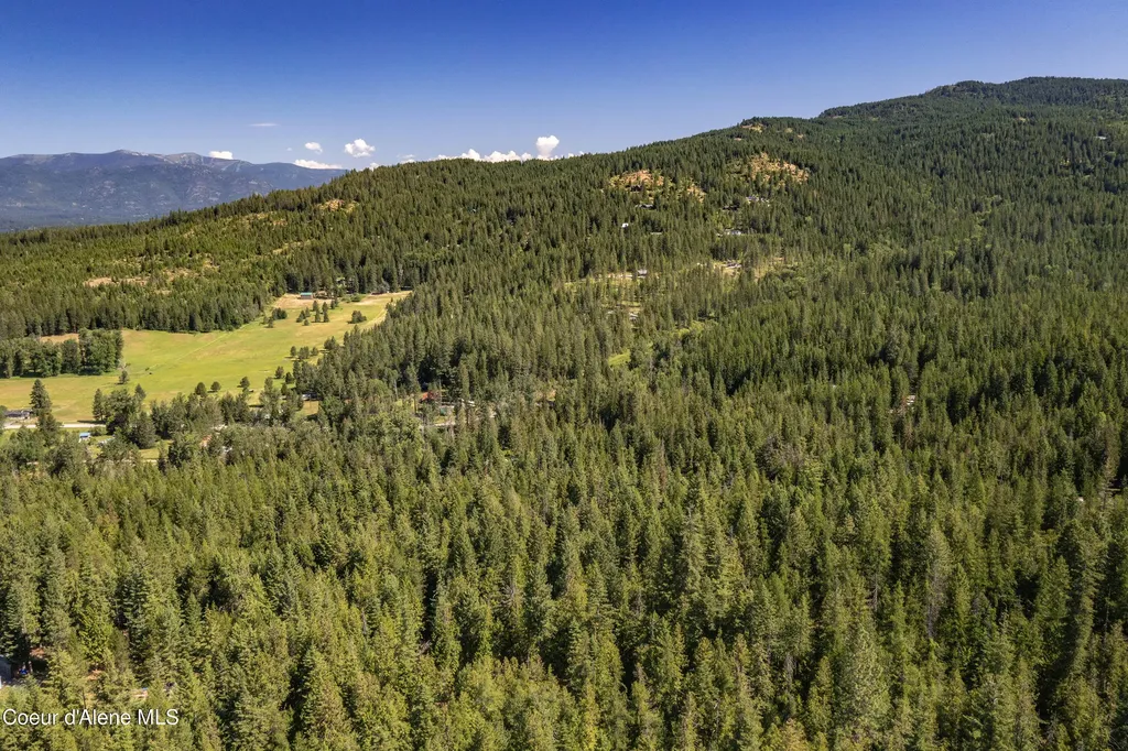 202 Fry Creek Road Sagle ID 83860