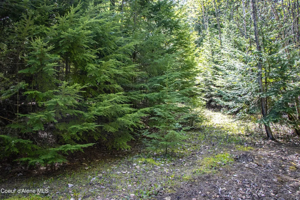 202 W Fry Creek Road Sagle ID 83860