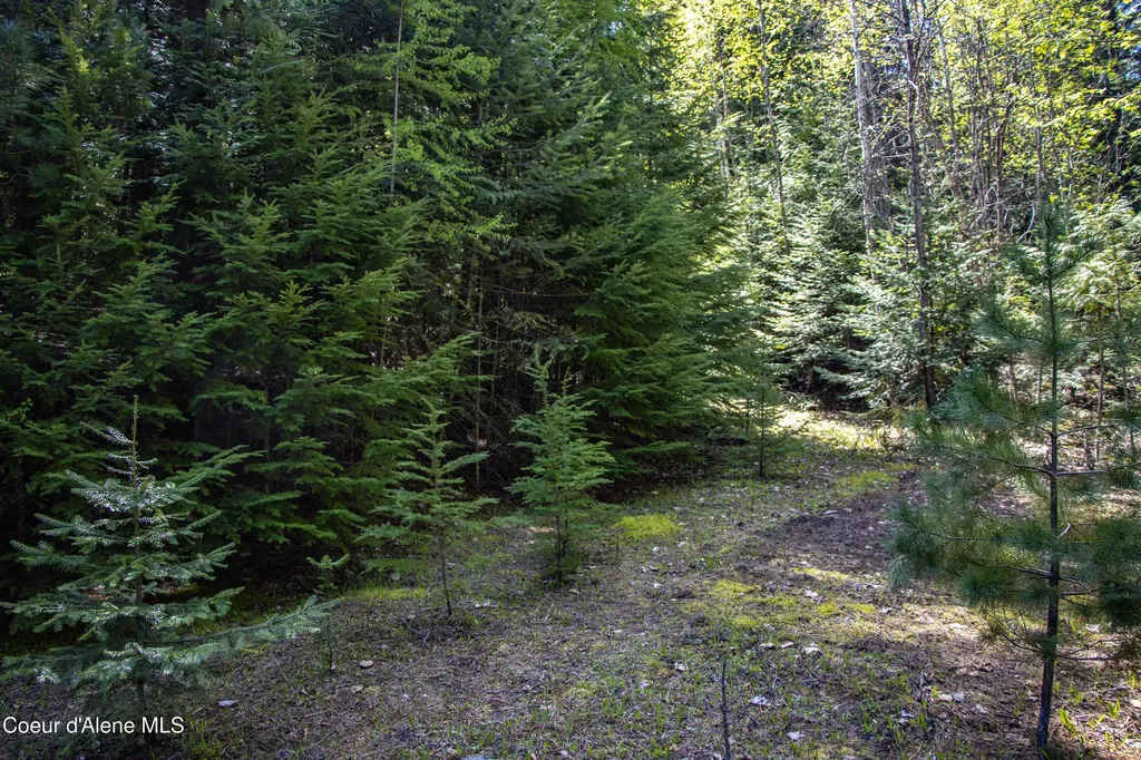 202 W Fry Creek Road Sagle ID 83860