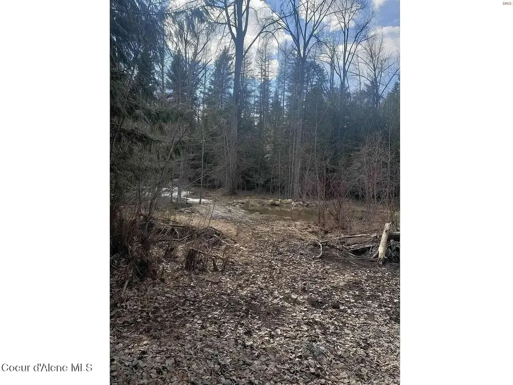 Fortyniner Lane Bonners Ferry ID 83805