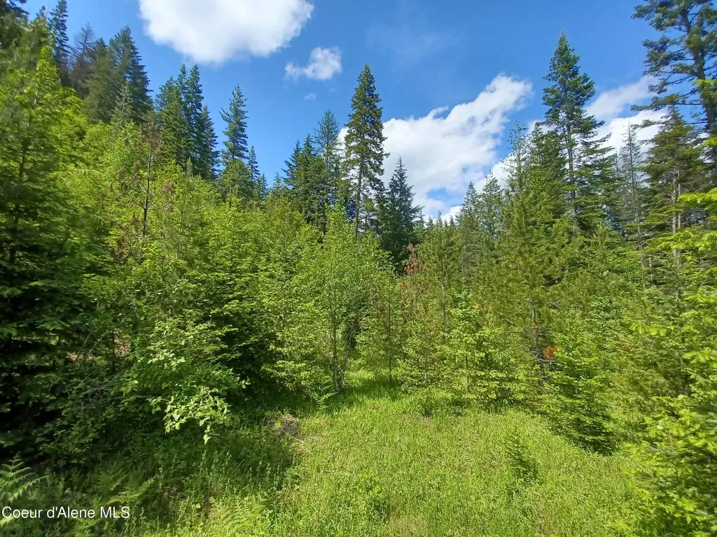127 Coyote Trail Priest River ID 83856