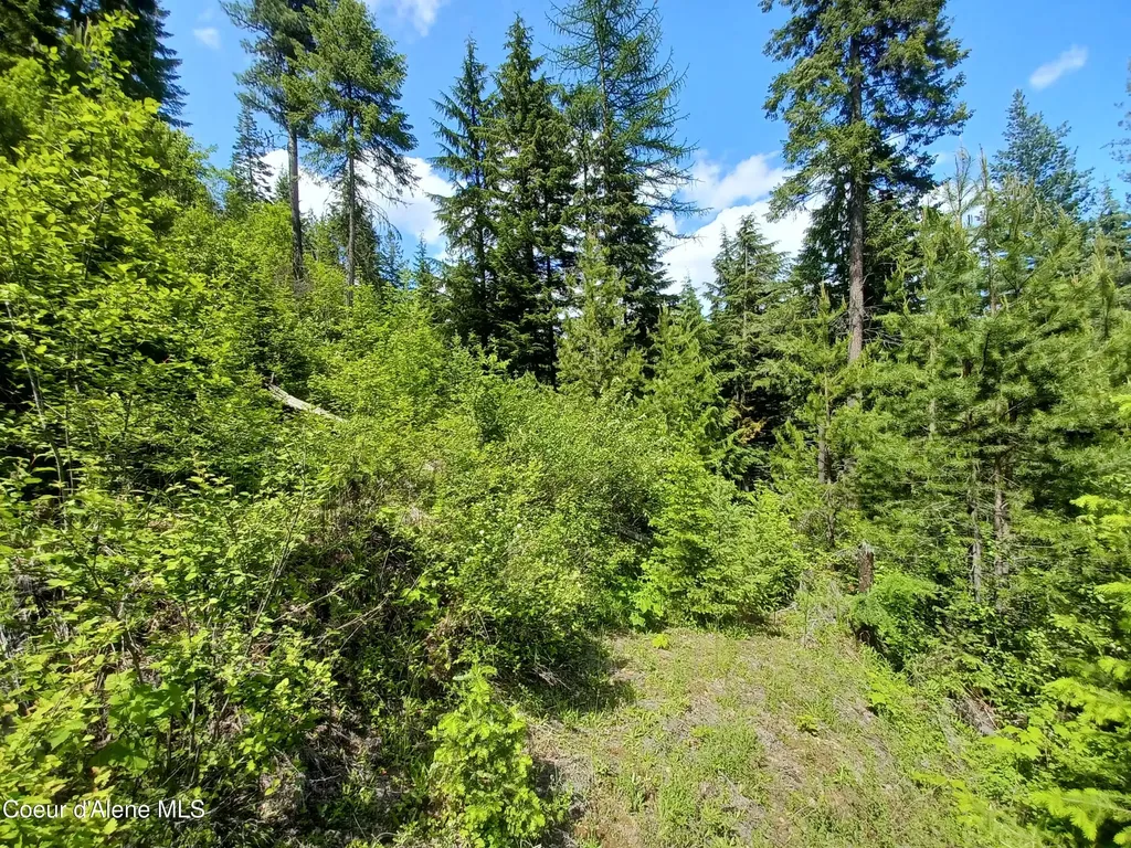 127 Coyote Trail Priest River ID 83856