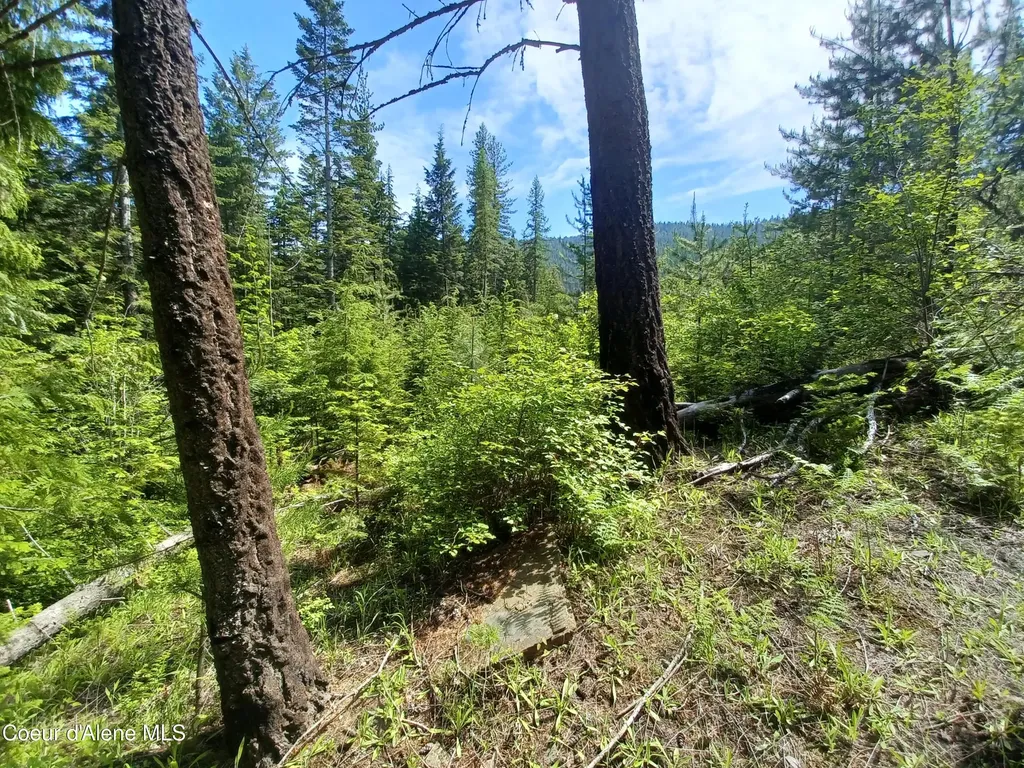 127 Coyote Trail Priest River ID 83856