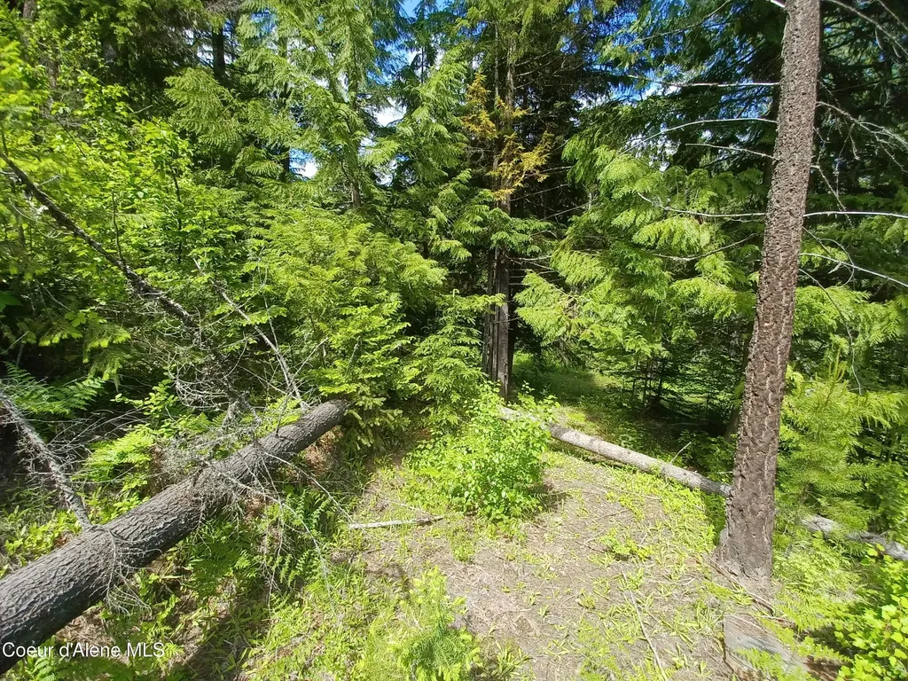 127 Coyote Trail Priest River ID 83856