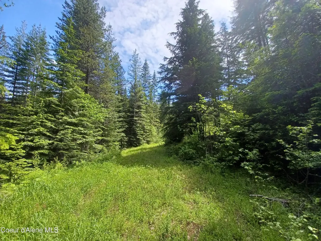 127 Coyote Trail Priest River ID 83856