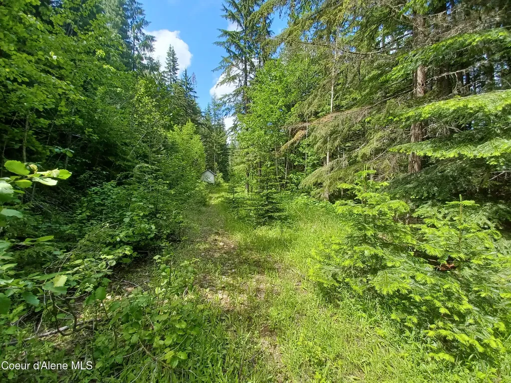 127 Coyote Trail Priest River ID 83856