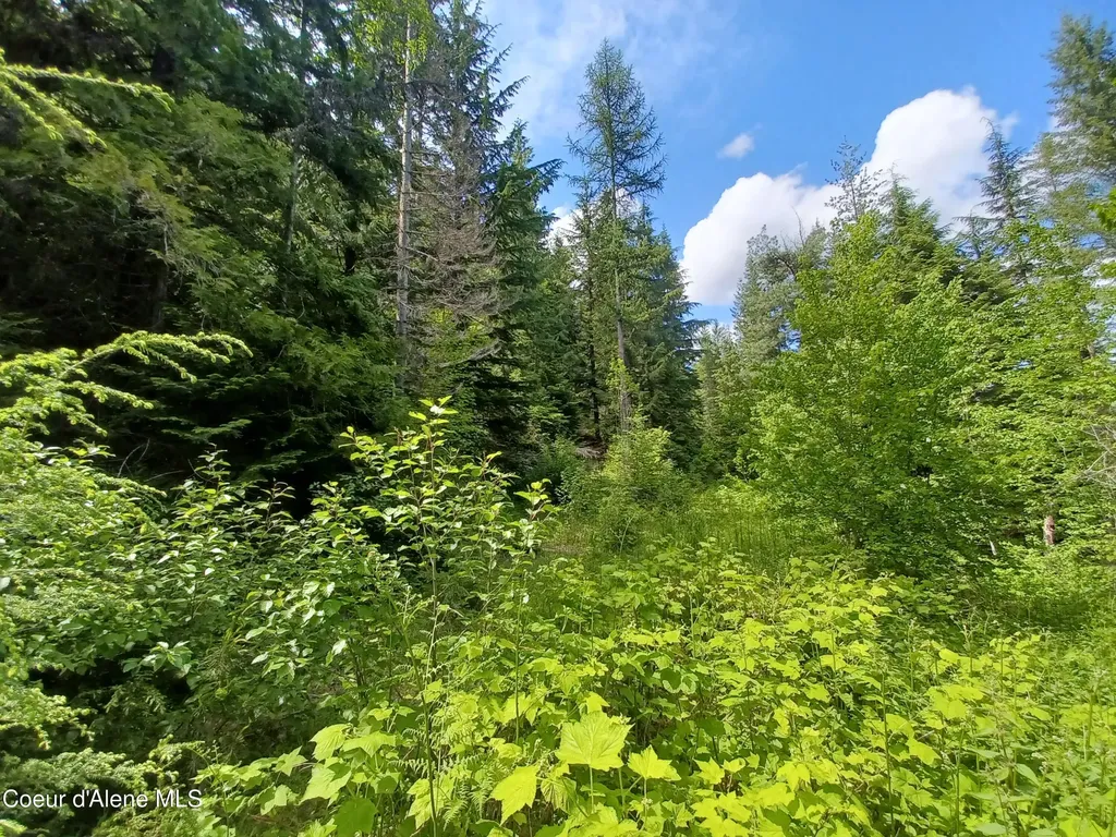 127 Coyote Trail Priest River ID 83856