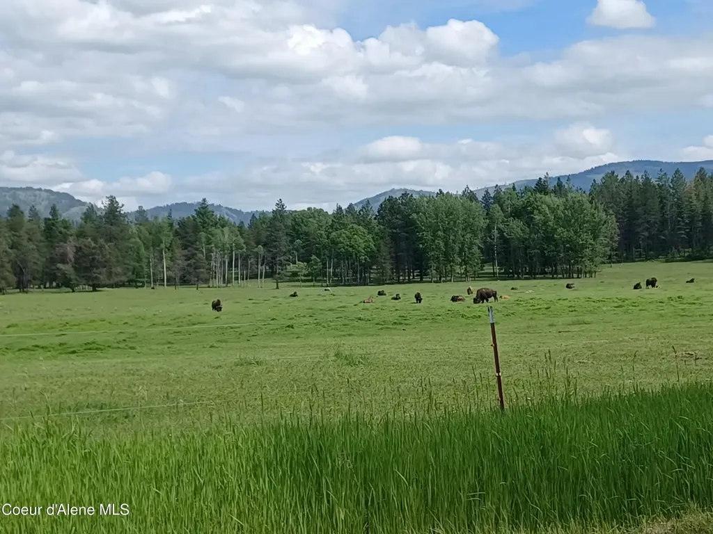 127 Coyote Trail Priest River ID 83856