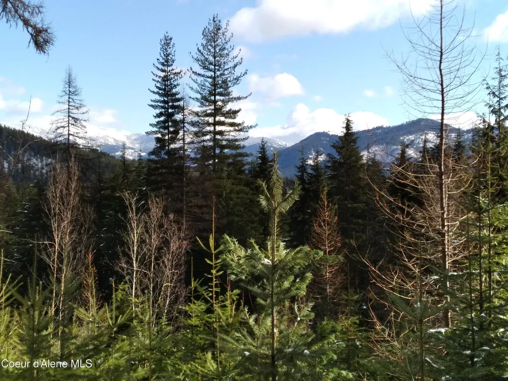 127 Coyote Trail Priest River ID 83856
