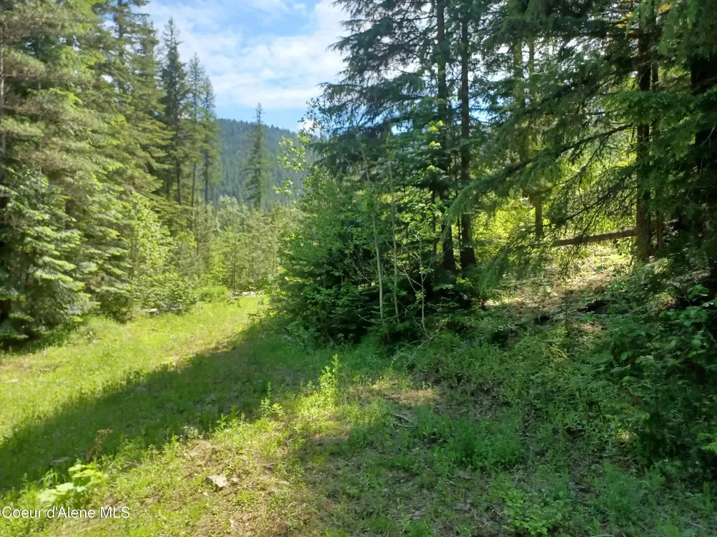 127 Coyote Trail Priest River ID 83856
