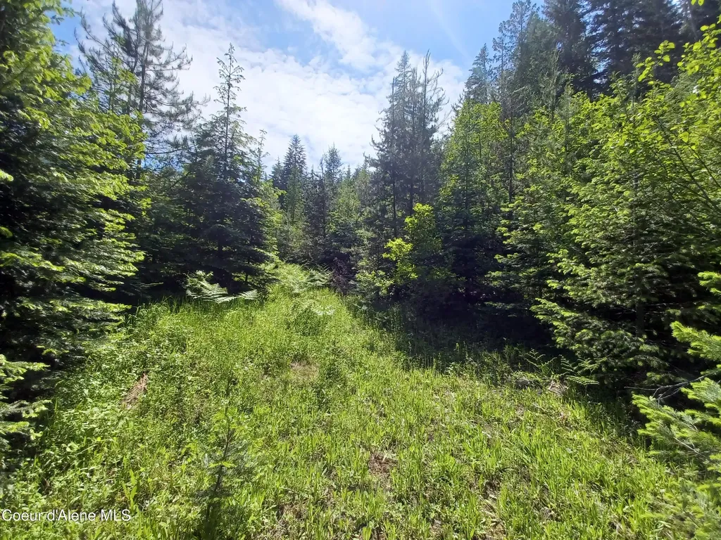 127 Coyote Trail Priest River ID 83856