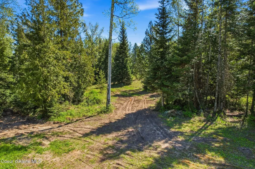 Whitetail Farm Lane Lot 1 Sandpoint ID 83864
