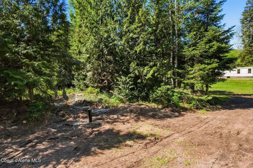 Whitetail Farm Lane Lot 1 Sandpoint ID 83864