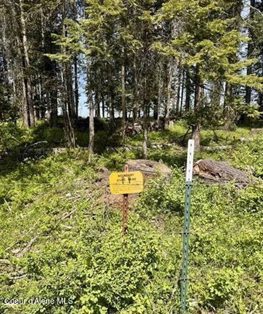 Tbd Harris Ridge Road Parcel 4 Kooskia ID 83539