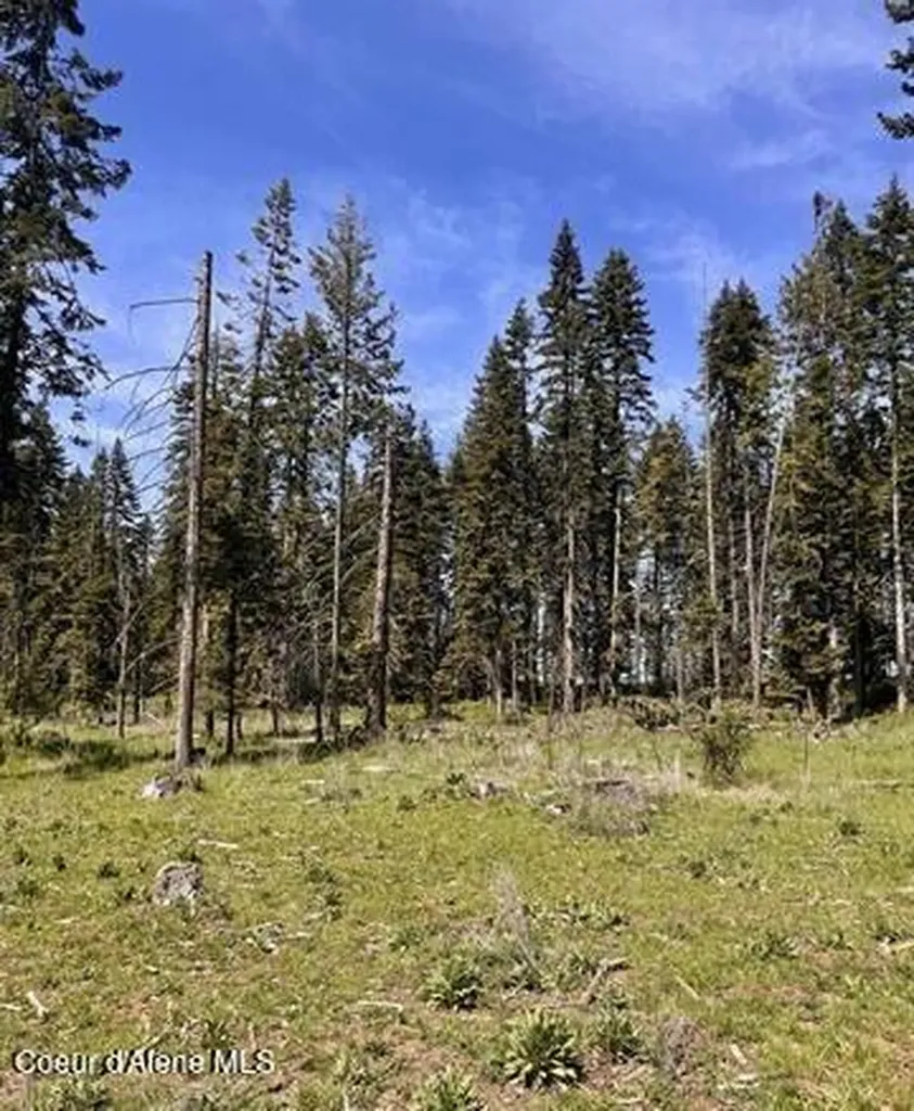 Tbd Harris Ridge Road Parcel 4 Kooskia ID 83539