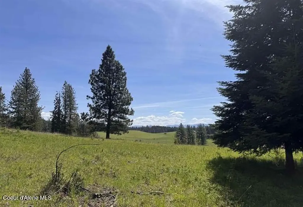 Tbd Harris Ridge Road Parcel 4 Kooskia ID 83539