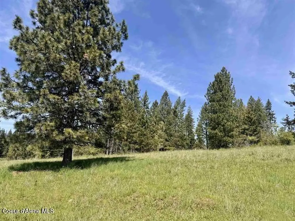 Tbd Harris Ridge Road Parcel 4 Kooskia ID 83539