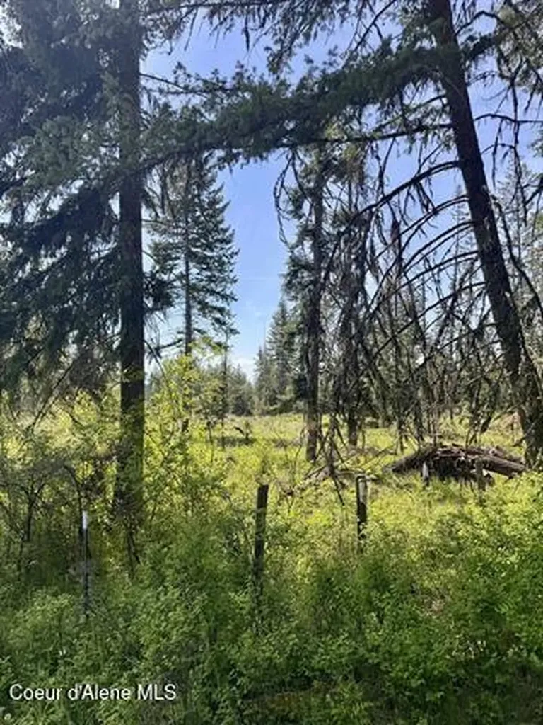 Tbd Harris Ridge Road Parcel 4 Kooskia ID 83539