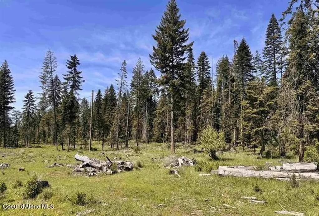 Tbd Harris Ridge Road Parcel 4 Kooskia ID 83539