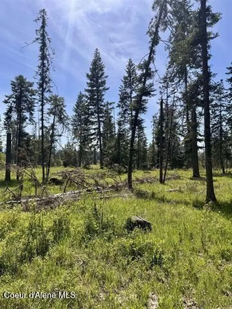 Tbd Harris Ridge Road Parcel 4 Kooskia ID 83539